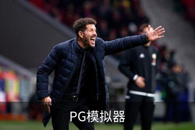PG模拟器公司介绍图片